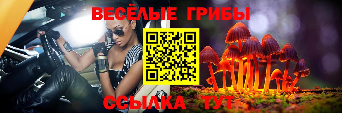 Псилоцибиновые грибы мицелий Карталы